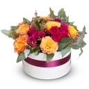 Box oranžových růží